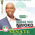 POLITICS2023: Why Prince Ned Nwoko Is The Most Qualified To Represent Delta North In The Senator For Our Common Good And For The Betterment Of Anioma Nation