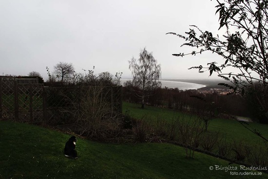 milton_20111210_view