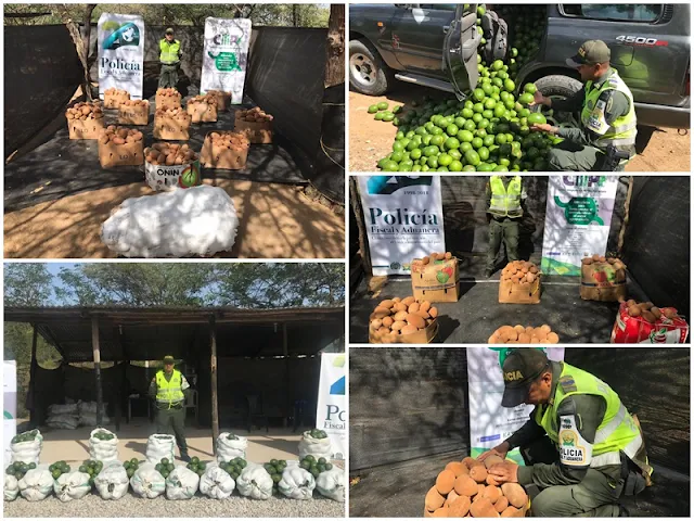 Aguacate, zapote y coco de contrabando