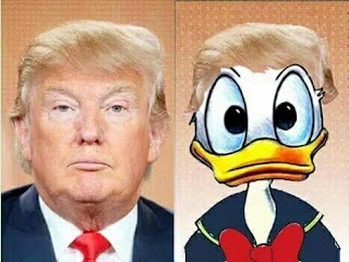 el hermano gemelo del pato donald