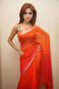 Sony Charista Glamorous in Saffron saree-thumbnail-50