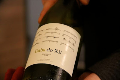 VINO GABA DO XIL. BLOG ESTEBAN CAPDEVILA