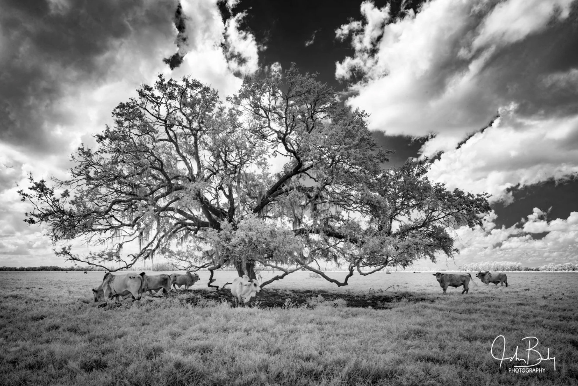 John Brady Photography - Black and White Landscapes 3