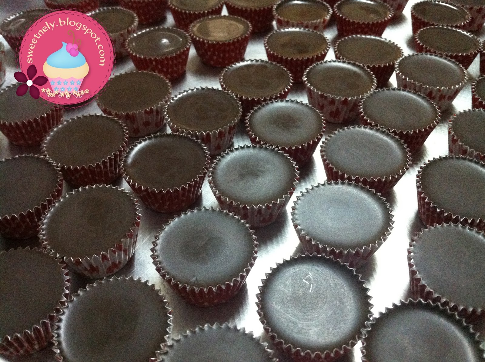 Biskut Coklat chip