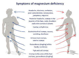 symptomy braku magnez organizm