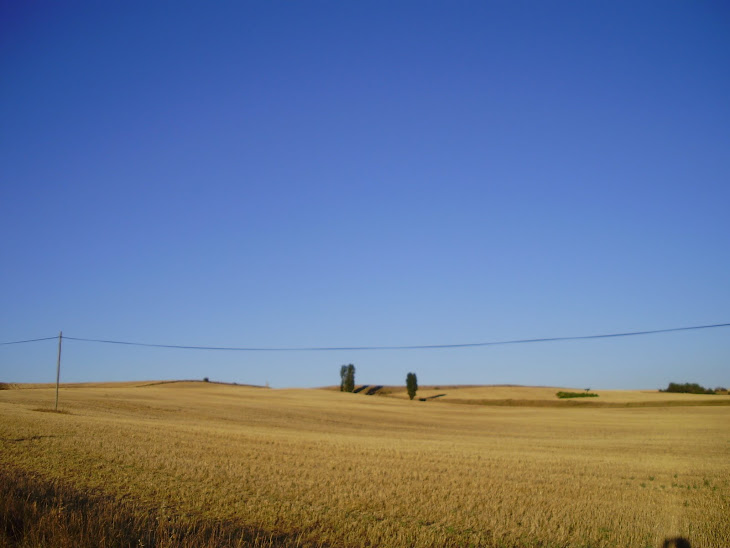 ¿Que campo es este?