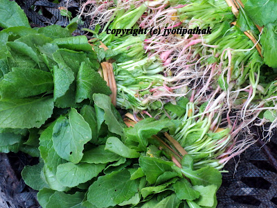 Information about Green Leafy Vegetables Nepal 
