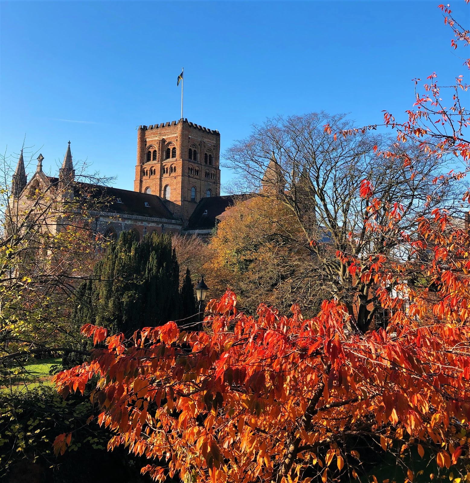 St Albans cathedral in autumn