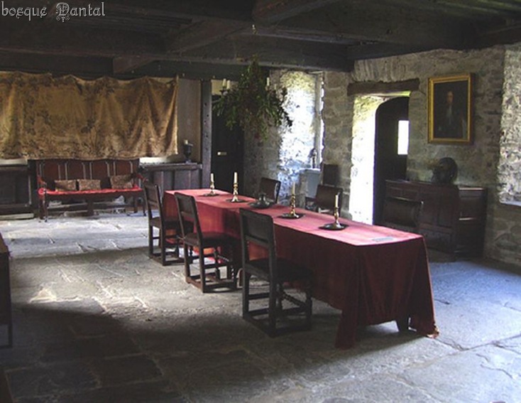 bosqueDANTAL_interiorCastillo712