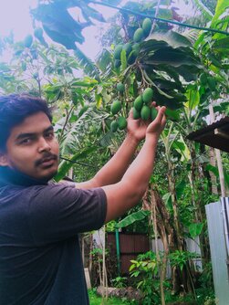 I'm infront of mango tree