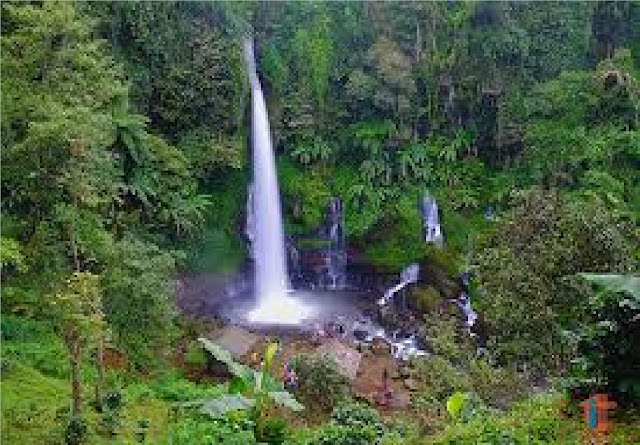 https://FindWisata.blogspot.com