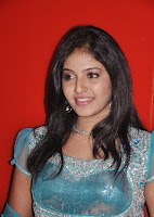 Anjali Hot Photos 