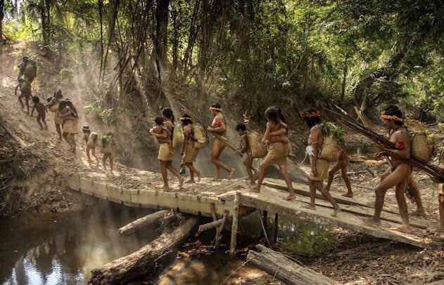 Υπό την απειλή εξαφάνισης τα δάση του Αμαζονίου και οι ιθαγενείς φυλές της Βραζιλίας
