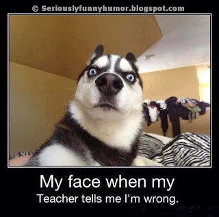 Dog face funny meme - My face when teacher tells me i'm wrong