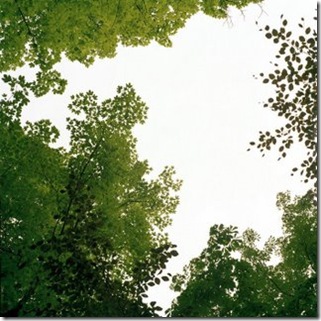 photos by Kjersti-Berg_dreaming days