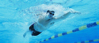 From Adult Non-Swimmer To Swimmer: An image of a male swimmer, doing freestyle, viewed from under the water