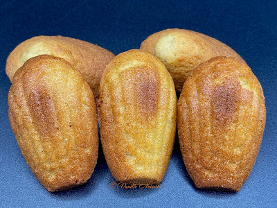 MADELEINES de CHRISTOPHE FELDER