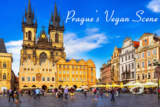 Prague tour packages from India
