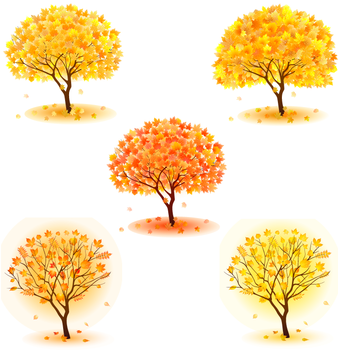 トップ100イラスト 紅葉 木 美しい花の画像