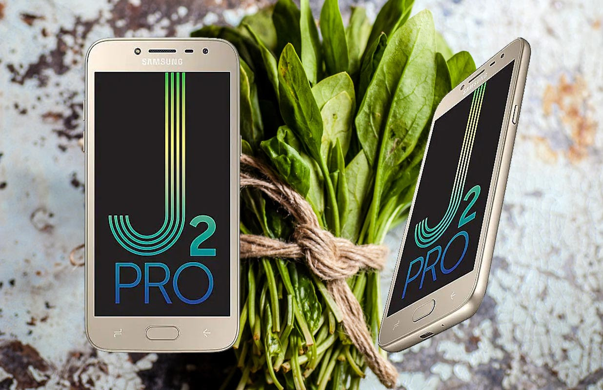 Samsung j200g after flash font camera failed. Root Samsung Galaxy J2 Pro 2018 Sm J250f G M Nougat 7 1 1 Using Twrp Android Infotech