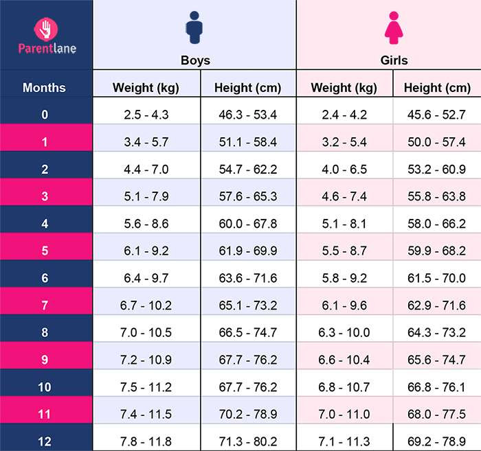 20 Beautiful Infant Weight Gain Chart