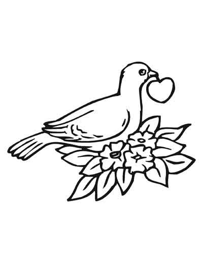 Download Toddler Coloring Book For Kids Pdf Drawing With Crayons