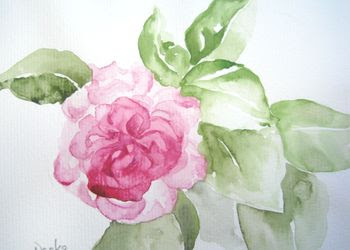 ラブリー水彩 花 描き方 最高の花の画像
