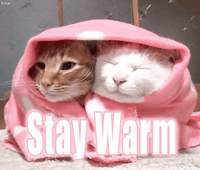 Stay Warm GIF