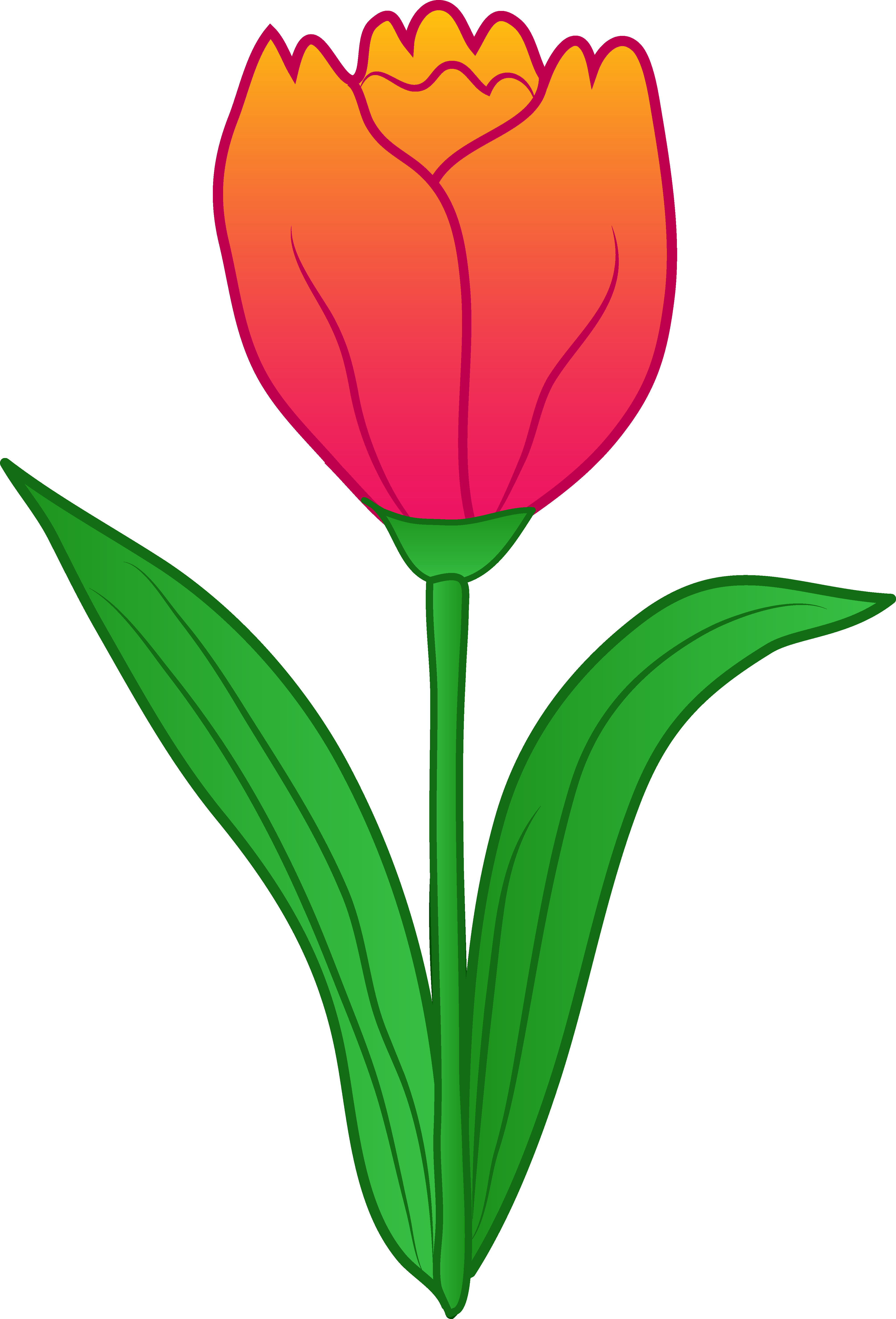 Gambar Kartun Bunga Tulip Pink