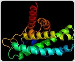 Stanford scientists complete first global census of cell surface proteins