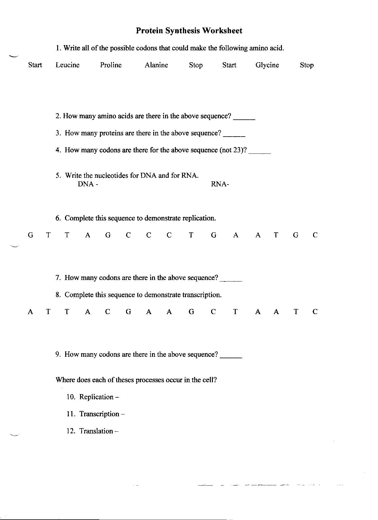 26 Comparing Dna Replication And Transcription Worksheet ...