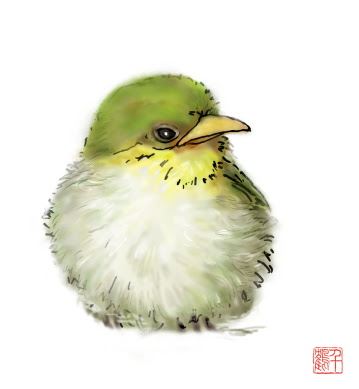 美しい花の画像 綺麗なメジロ イラスト