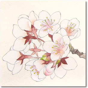 子供向けぬりえ Hd限定桜 イラスト 書き方