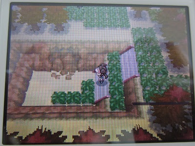 最高 ポケモン ホワイト 修行の岩屋 最も人気のある画像