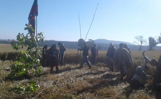 Comunidades mapuche en resistencia se movilizan por autonomía y justicia en la Araucanía y Biobío