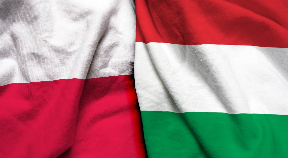 Ubrany/a w białą marynarkę z naszywkami flag węgier i austrii zaś woku pasa ma zawiązany brązowy skórzany pas. Bratankowie Z Polski I Wegier Skad Wziela Sie Taka Przyjazn Jedynka Polskieradio Pl