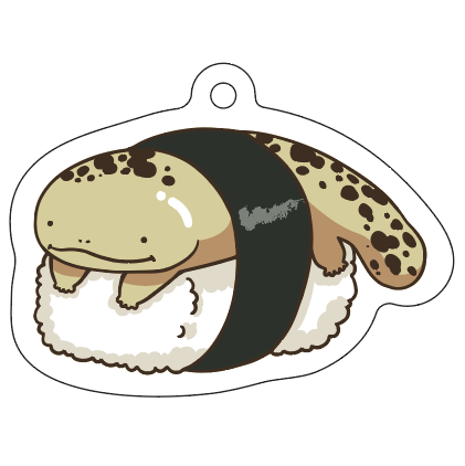 動物画像のすべて 最高オオ サンショウウオ イラスト