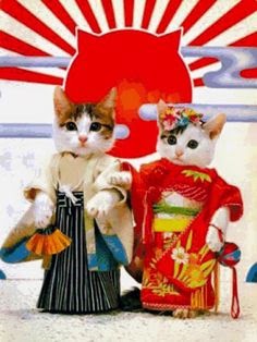 選択した画像 なめ猫画像 なめ猫画像 Salenarivett