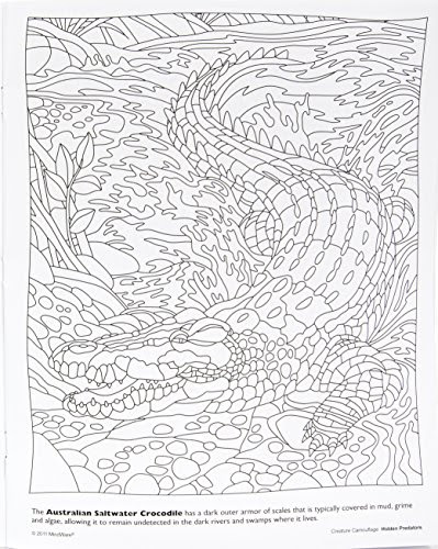 Camouflage coloring illustrations & vectors. Animal Camouflage Coloring Pages Printable It Is Full Of Fun Math And Literacy Activities Focusing On Ten Different Animals That Use Other Activities Include Bingo Cutting Practice Coloring Pages Puppets Size