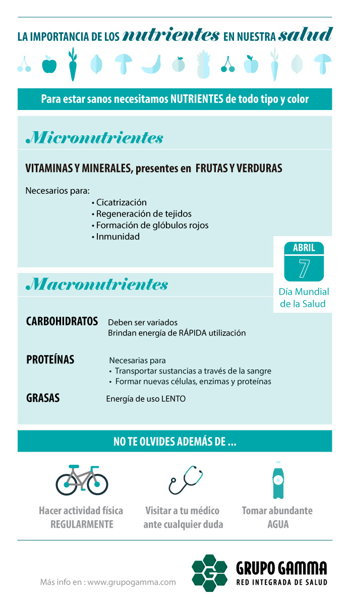 Infografía Nutrientes