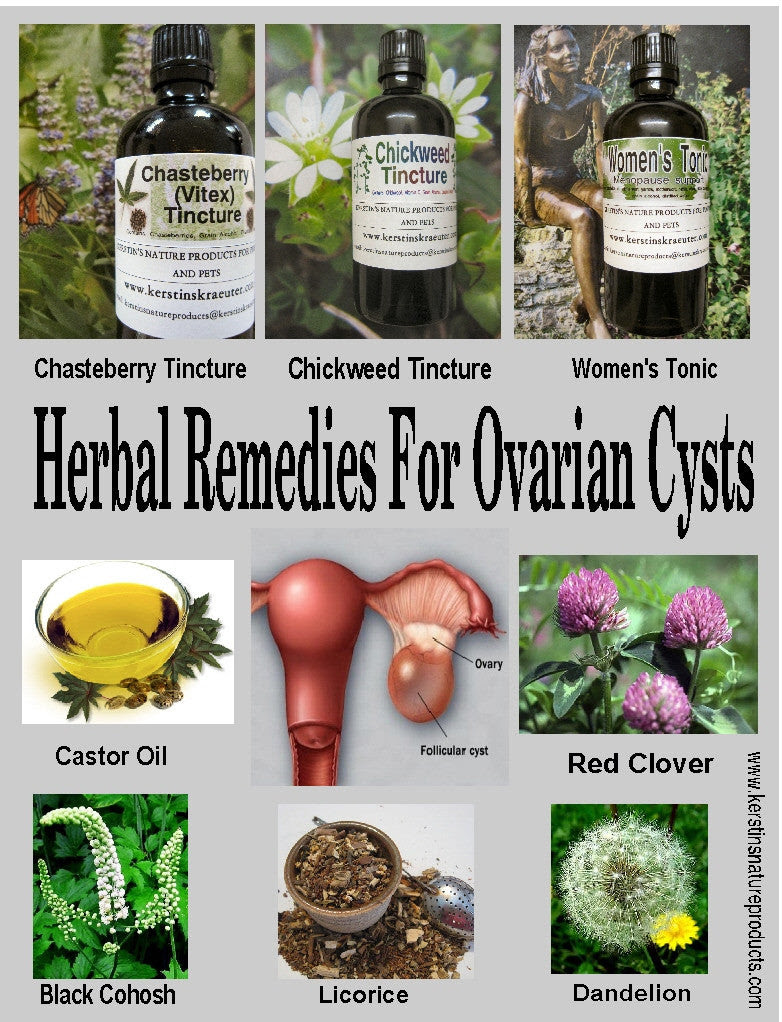 Bosm pure topical serum to purchase these items (links below) 1. Best Herbal Remedies For Ovarian Cysts Kerstin S Nature Products For People And Pets