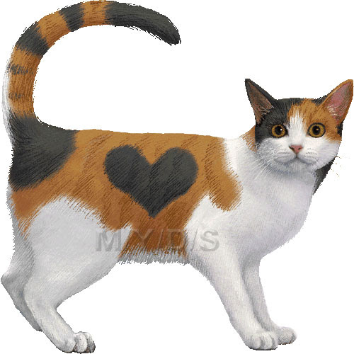 美しい花の画像 ベスト50 三毛猫 イラスト 無料