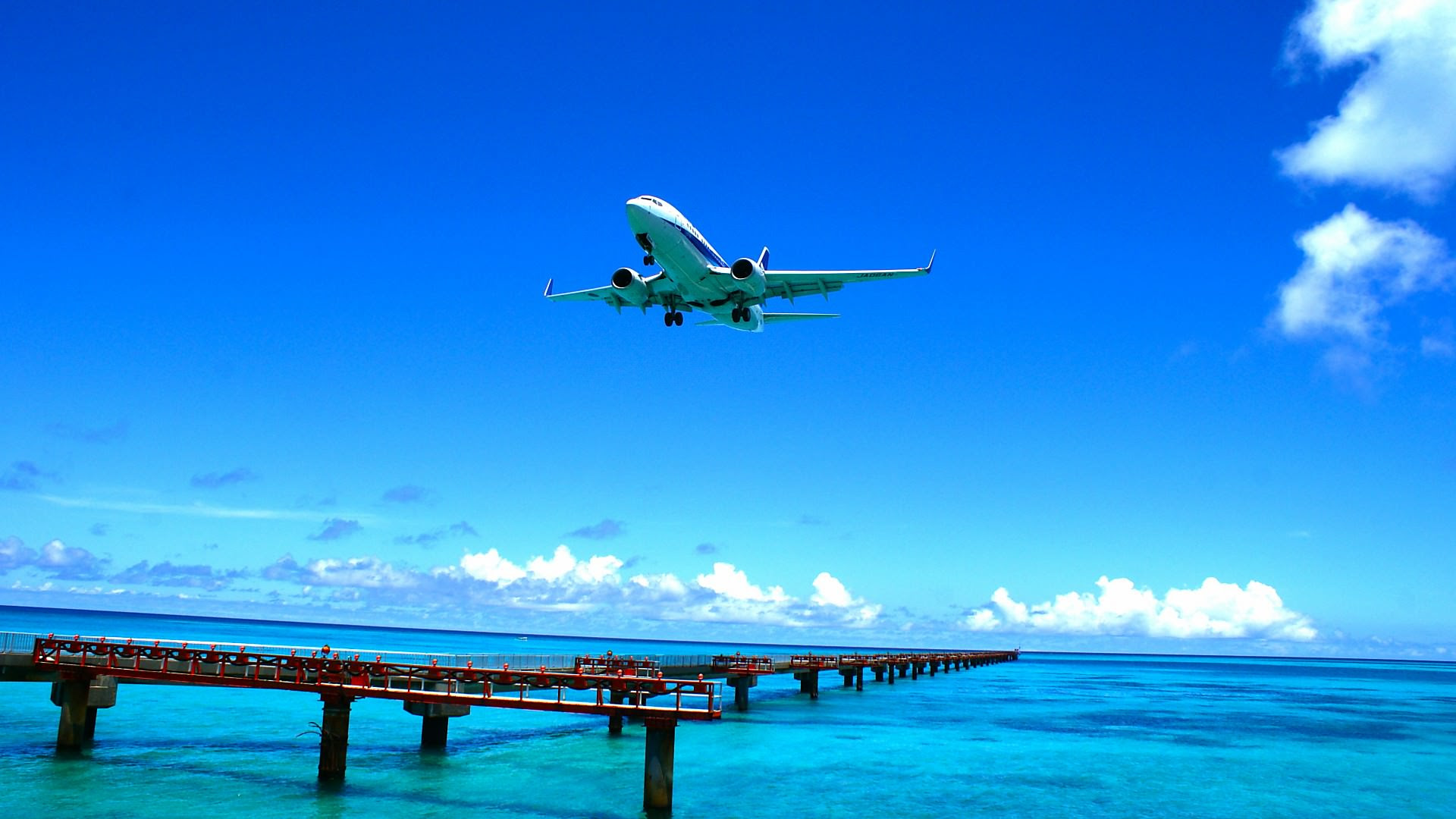 最高かつ最も包括的な飛行機 壁紙 最高の花の画像