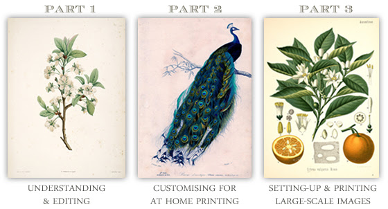 Maybe you would like to learn more about one of these? Free Printables The Painted Hive