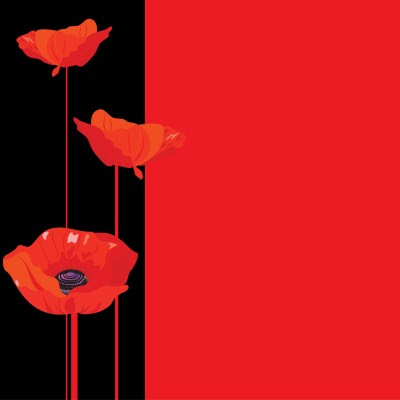 美しい花の画像 ユニークポピー 花 言葉 オレンジ