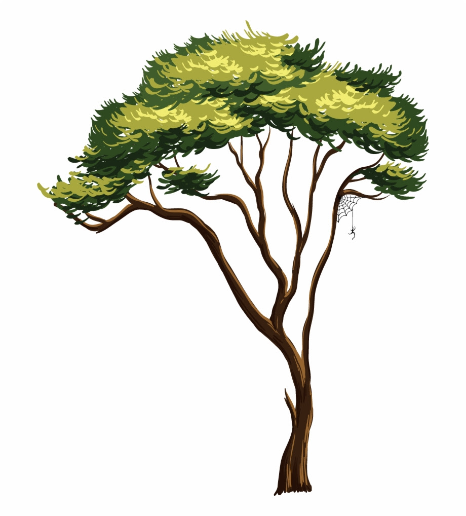 Free africa transparent png images. African Tree Png Tree Africa Png Clip Art Library