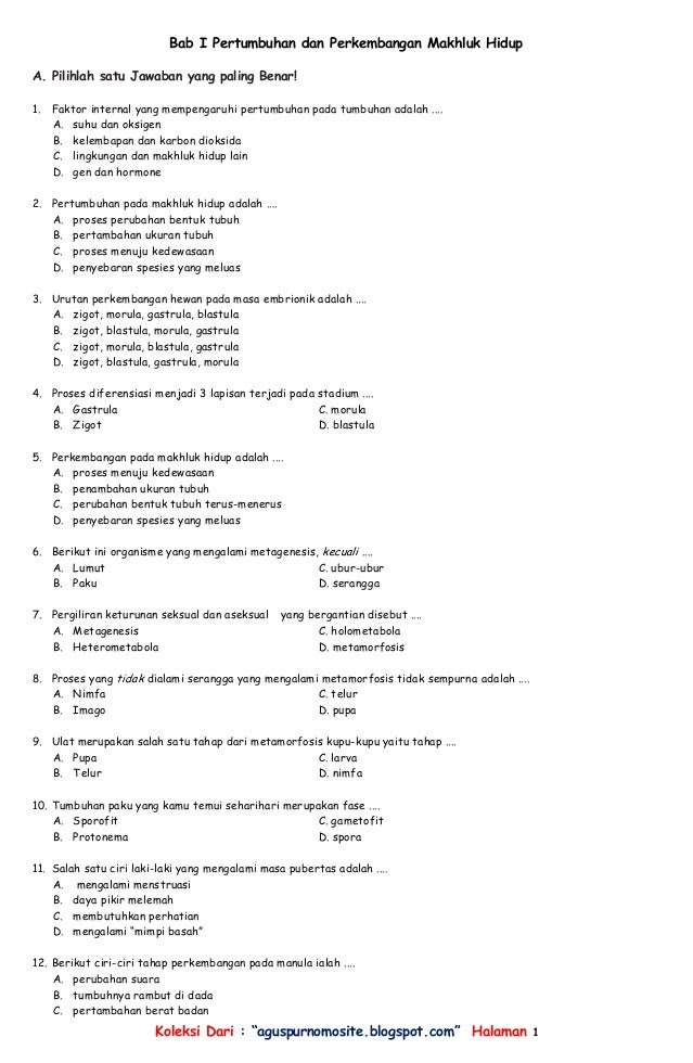 Contoh Soal Tpa Dan Pembahasannya Pdf Sobat Guru