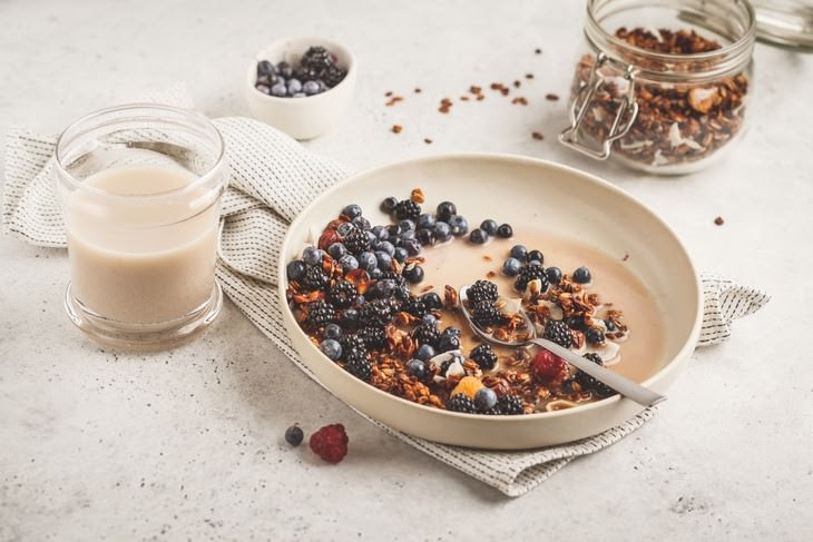 Plant Milks Suitable for Every Task granola with soy milk