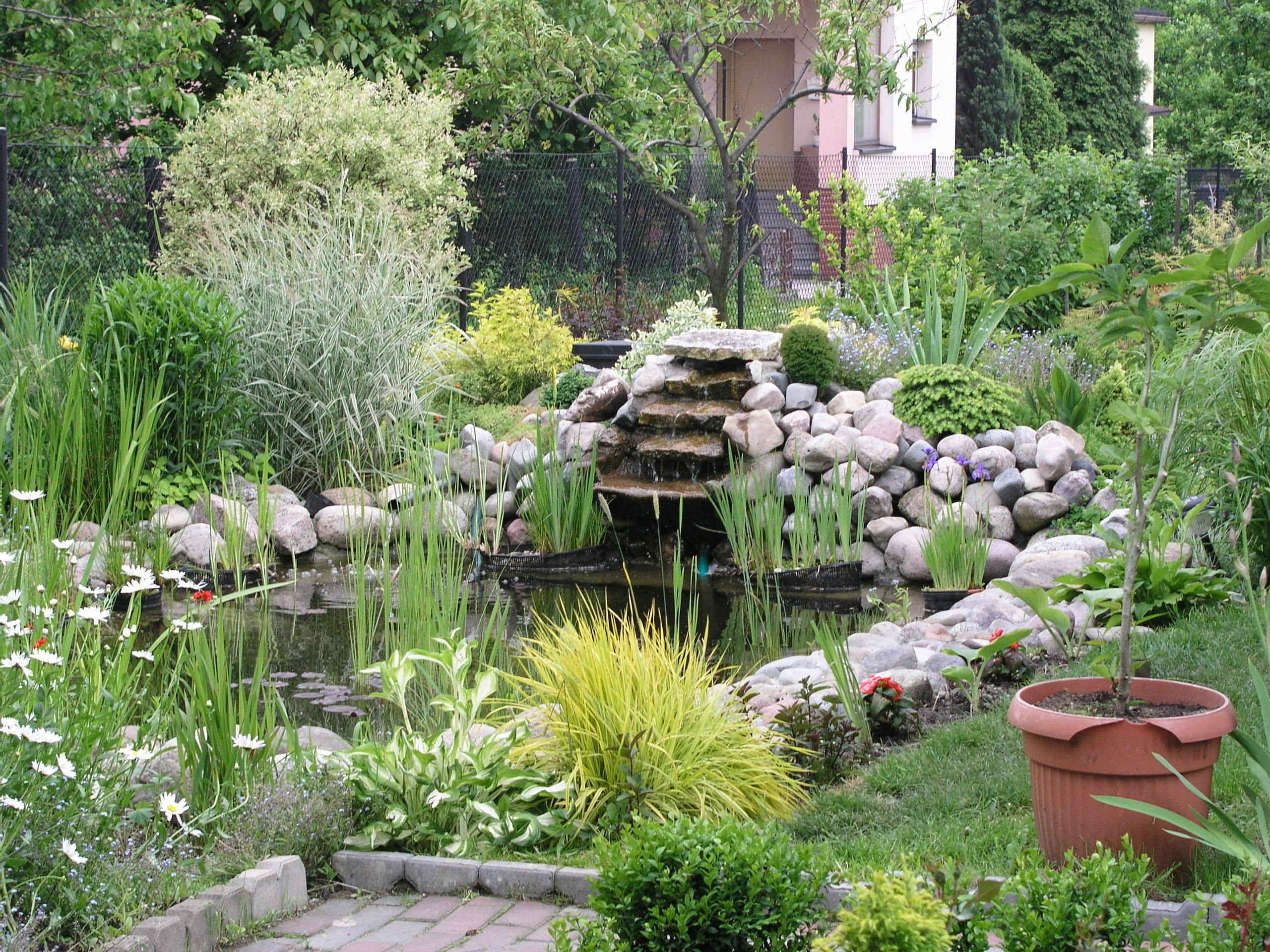 3 Landscaping Garden Pond Designs