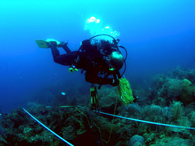 Habitat Monitoring